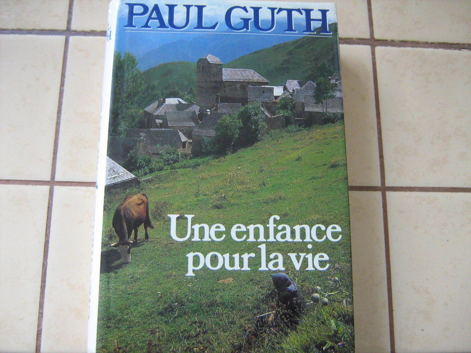 Une enfance pour la vie